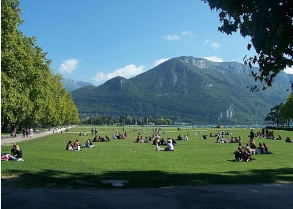 La Petite Venise Des Alpes, Ultra Centre 1 A 5 Pers Apartment Annecy Bagian luar foto