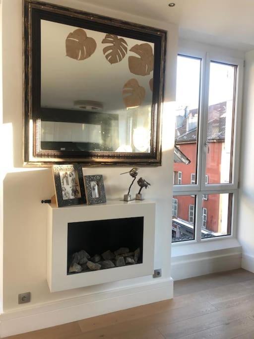La Petite Venise Des Alpes, Ultra Centre 1 A 5 Pers Apartment Annecy Bagian luar foto