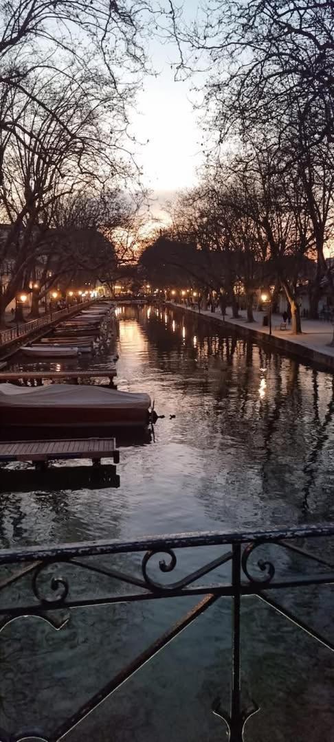 La Petite Venise Des Alpes, Ultra Centre 1 A 5 Pers Apartment Annecy Bagian luar foto